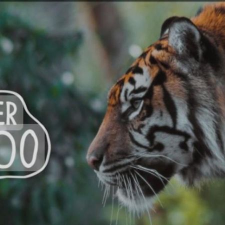 The Beautiful Bungalow Amazing Location For Chester & Zoo Wervin Esterno foto