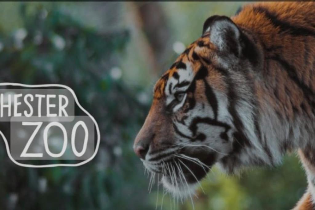 The Beautiful Bungalow Amazing Location For Chester & Zoo Wervin Esterno foto
